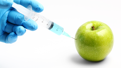 Alimentos transgénicos
